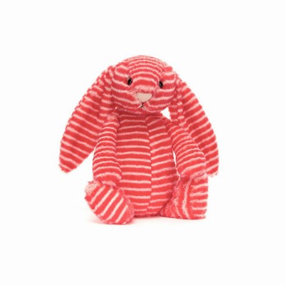 Jellycat Bashful Evey Conejitos | OAGZ-21076